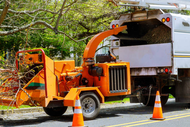 Best Arborist Services Near Me  in Muncy, PA